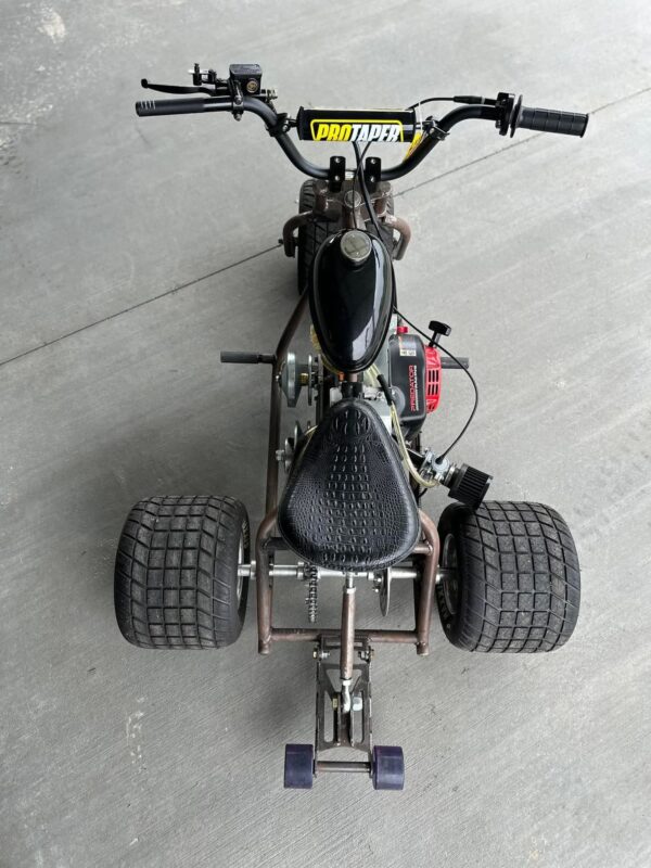 THE MINI TRIKE 2025 special edition